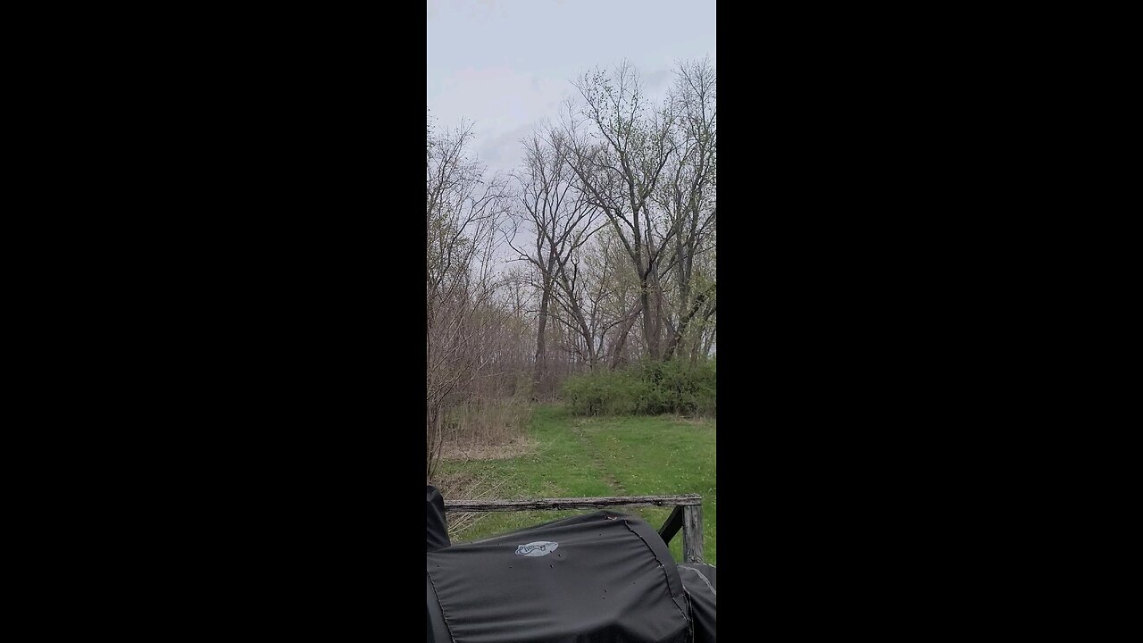 Strong Winds ahead of possible Tornado outbreak Vernon, Illinois 04-02-2025