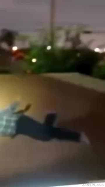 East Side Hommies get Tazed - on da roof