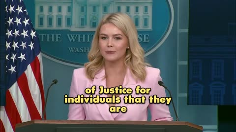 Karoline Lewitt detroys totally the lame Fake News Media