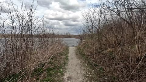 Strolling Down to the Water -Mother Nature in the City
