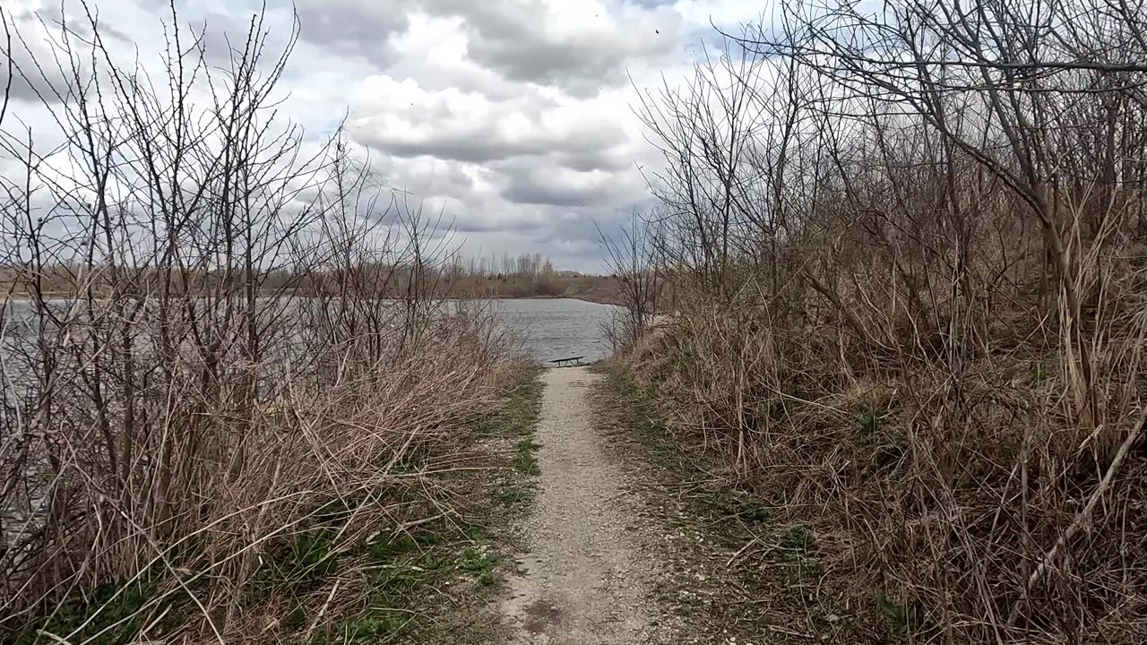 Strolling Down to the Water -Mother Nature in the City