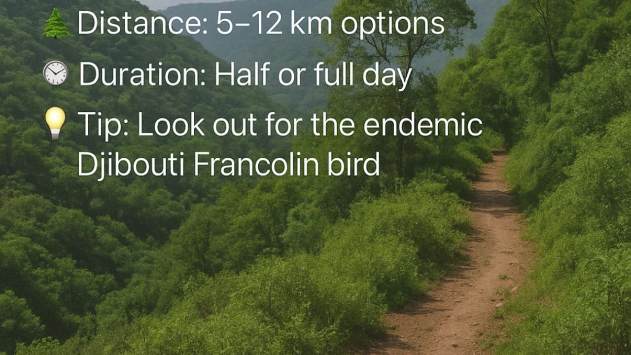 Discover Djibouti’s Top 3 Epic Hikes