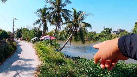 Kinh Nghiệm Câu Cá Chép Sông Đầu Mùa Đông 17B6 - CỐNG NAM Điểm Câu Cá Diếc, Chép Sông Quá Lý_part1