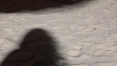 😨👻 Weird Movement Over My GF's Shadow Caught on Video! | TheHauntingHour