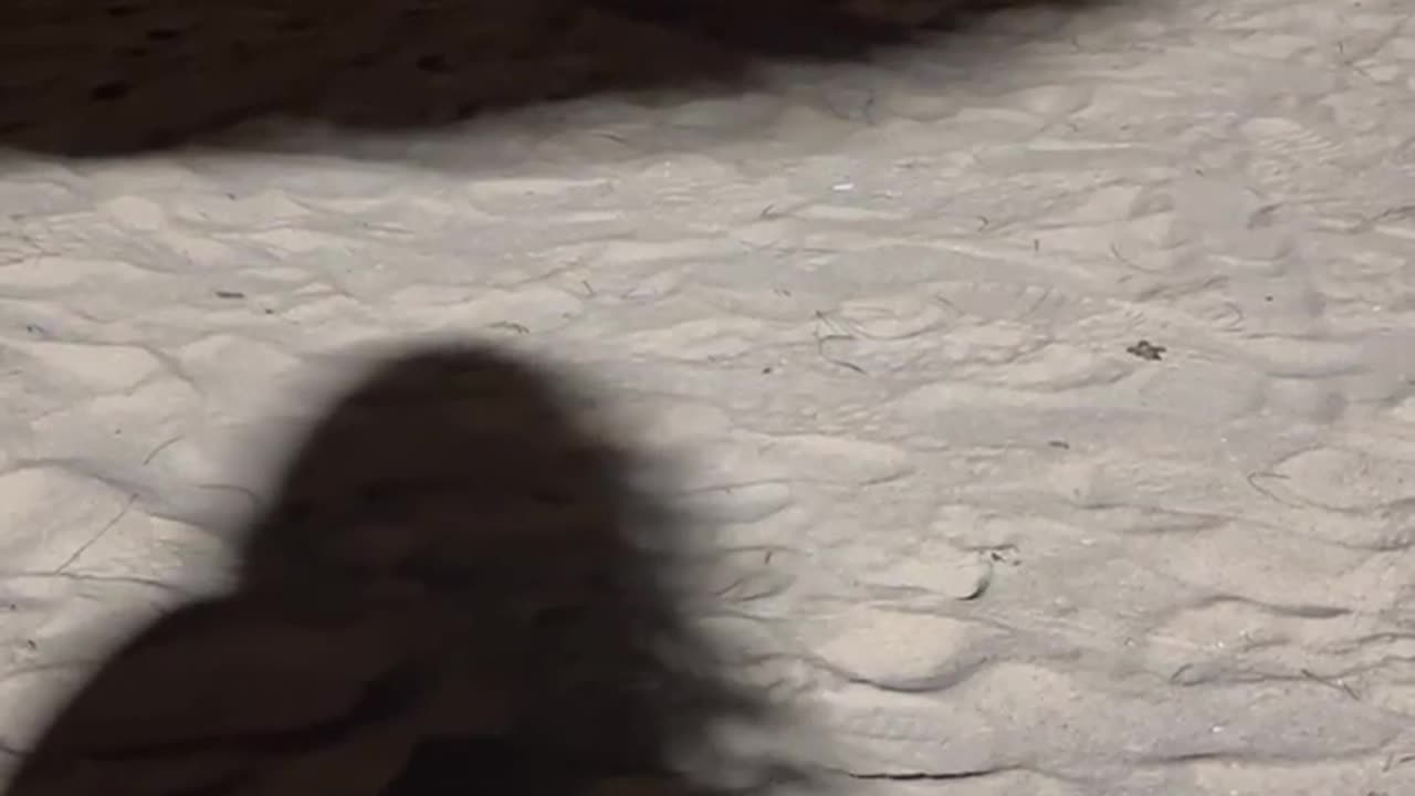 😨👻 Weird Movement Over My GF's Shadow Caught on Video! | TheHauntingHour