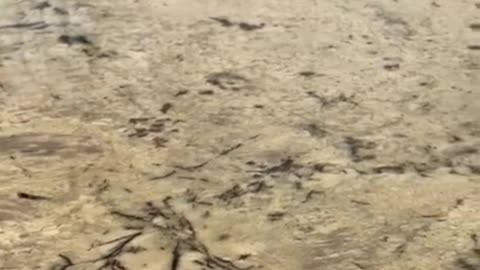 🚨 COMING SOON in MANTECA! 🏡