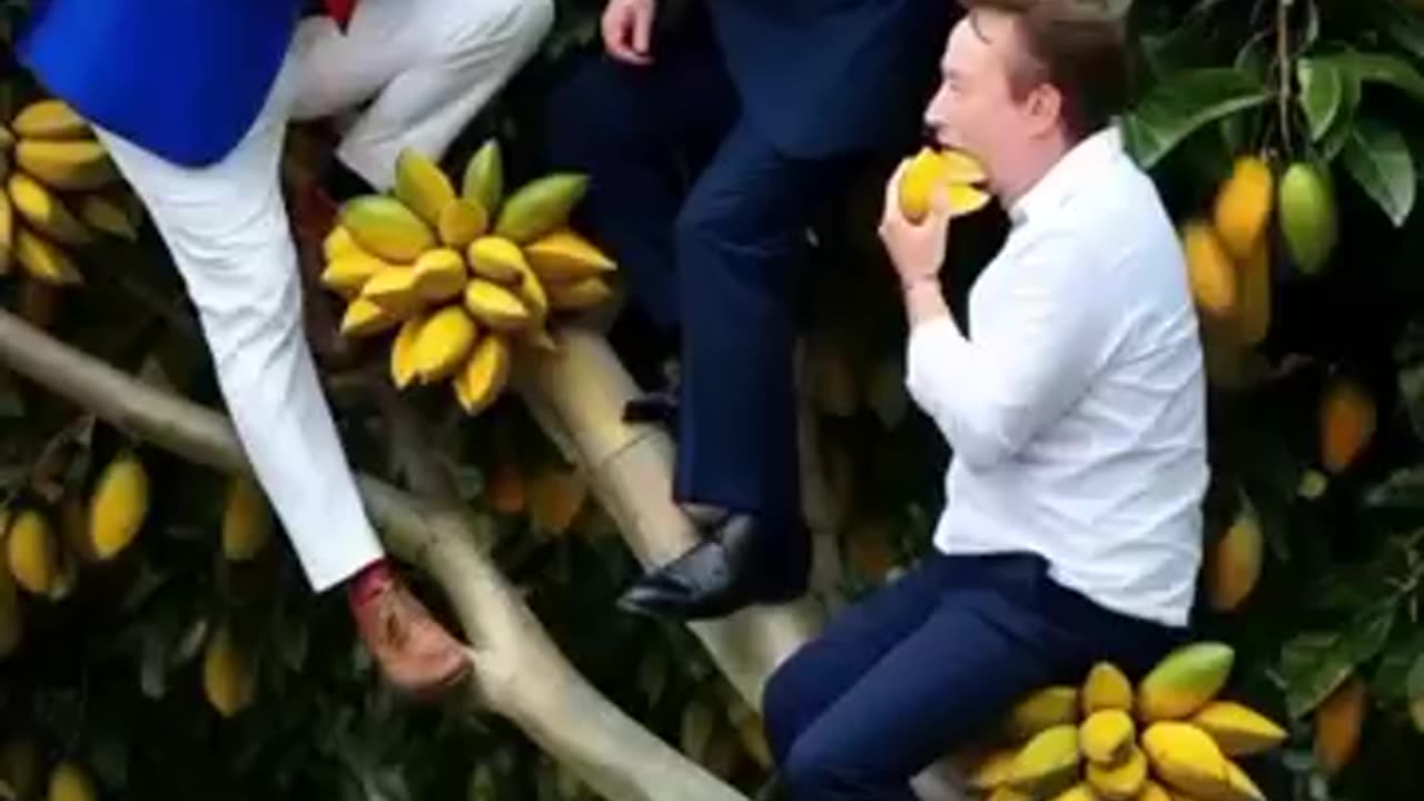 World Leaders Mango Mission! 🍌🥭 Trump, Putin & Elon in Action!