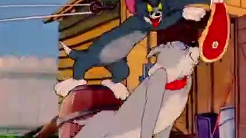 Tom and jarry funny vidieo