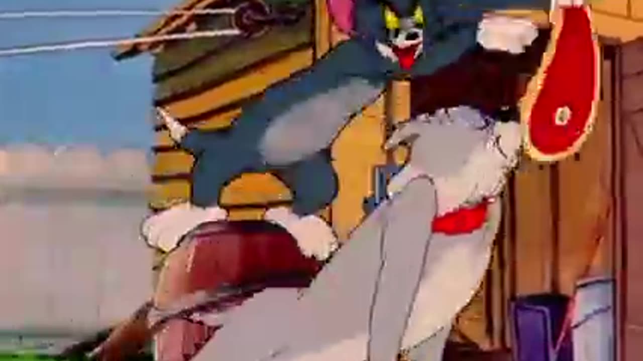 Tom and jarry funny vidieo