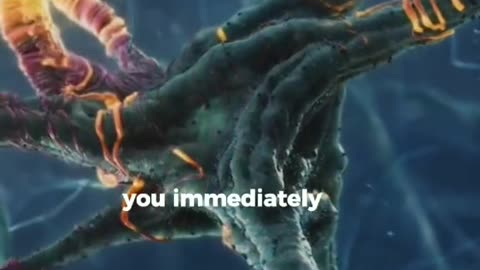 7 Drinks That Repair Nerves Health # Nerves