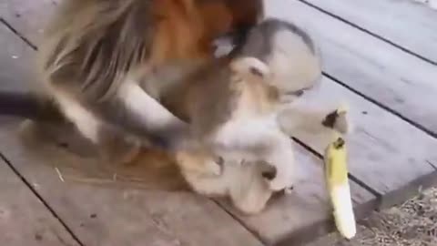 mama gave me food.. ♥️🥰