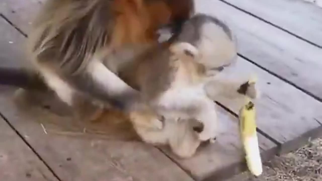 mama gave me food.. ♥️🥰