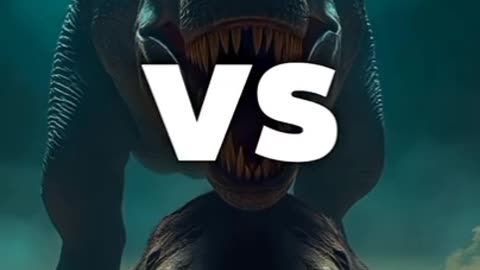 Epic Animal Battles: Who Will Win?