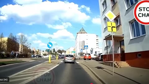 Owieczki drogowe - trębacze