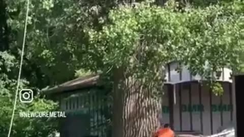 😱🌳 Cutting Down Massive Tree Fails Epically! | FunFM
