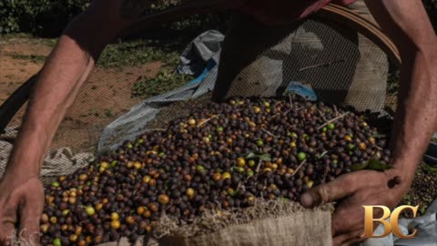 Bessent says ‘substantial’ tariff relief on coffee and bananas is coming soon