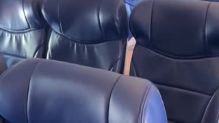 Wait til you see what she did.hd