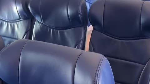 Wait til you see what she did.hd