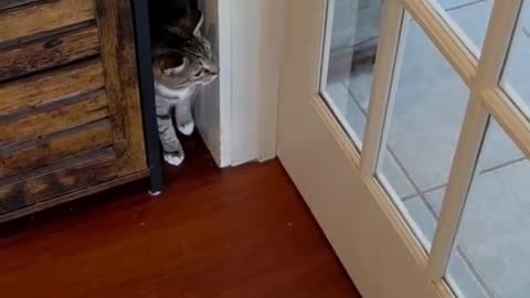 Esther "bird watching"