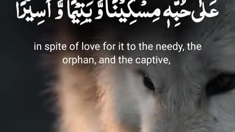 A£-QURAN KAREEM