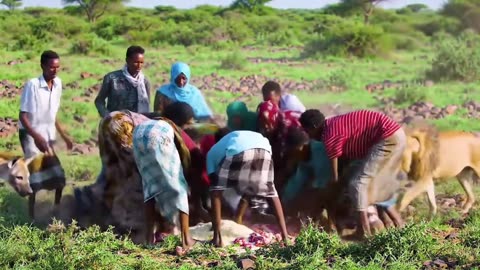 People's Share Foods with wild Animals