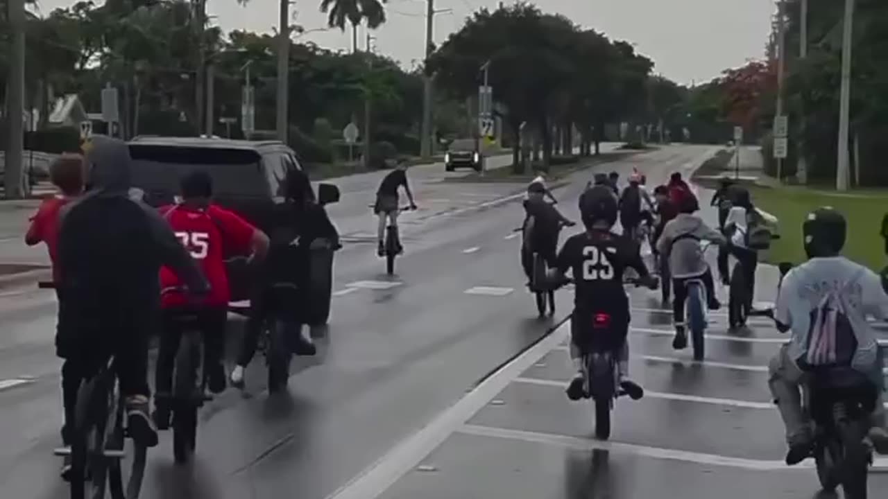 Diversity destroys social cohesion