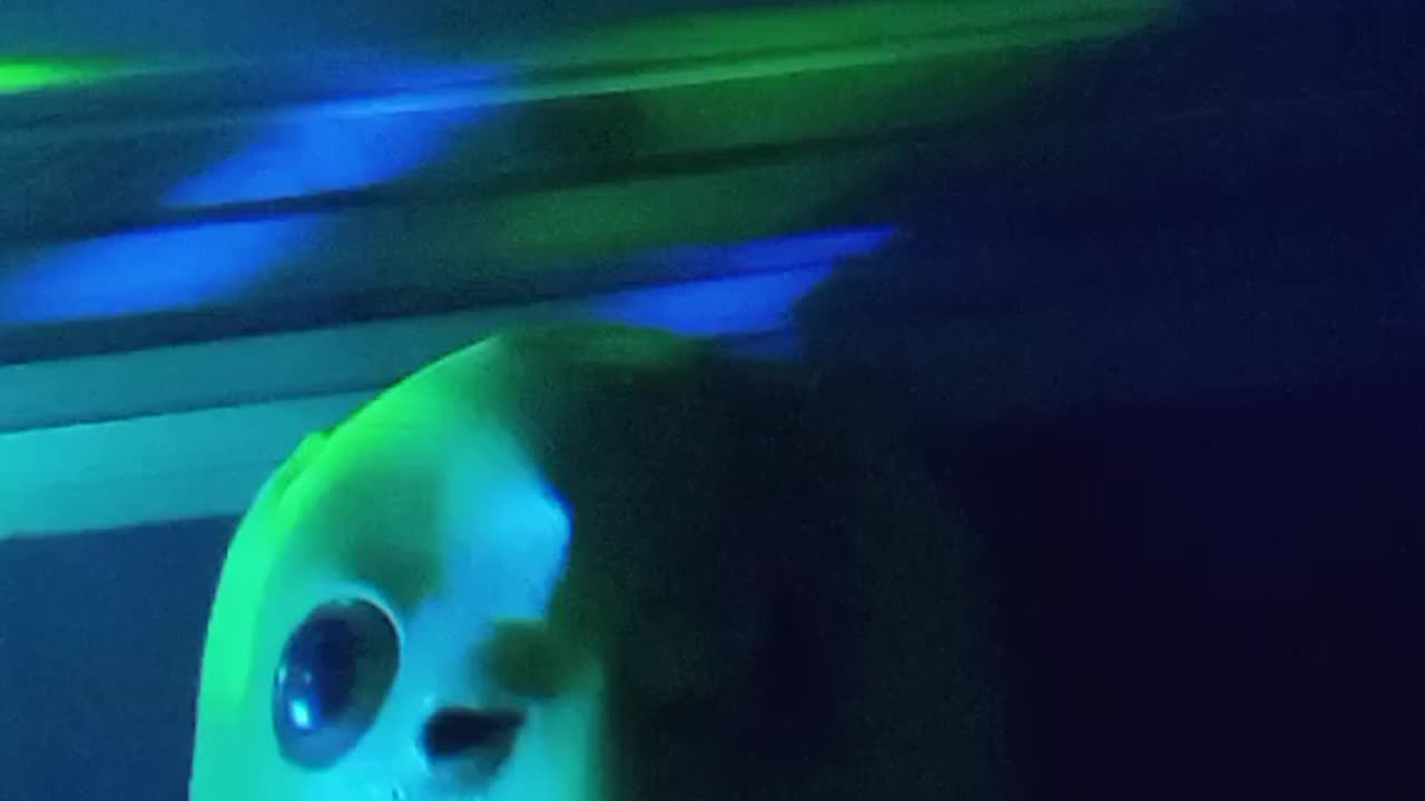 The Alien Singing About the Deranged World of Chomoerica