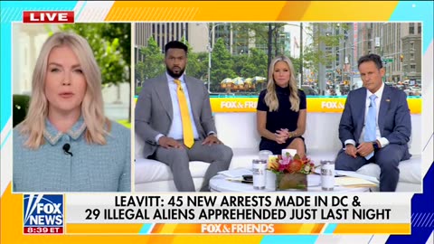 Karoline Leavitt Reveals How Many Illegal Immigrants Were Arrested In DC