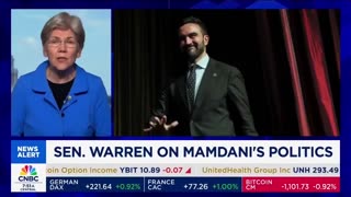 Elizabeth Warren supports Mamdani's plan for government-run grocery stores