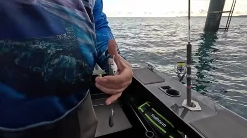 How We Caught a Mackerel on a BAIT JIG! Totally Unexpected (2)