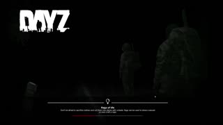 DayZ PVE