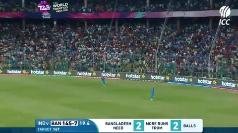 Cricket Excitement