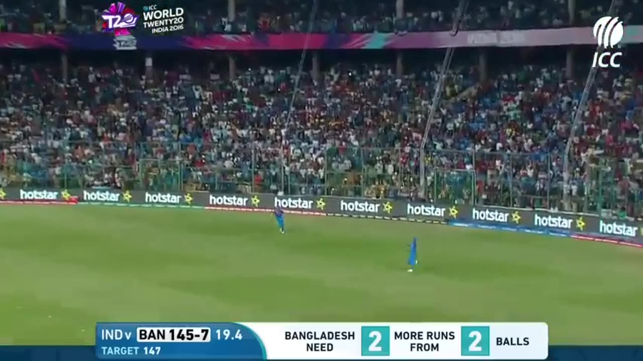 Cricket Excitement