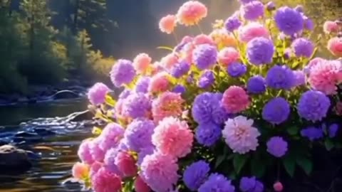 Beautiful video