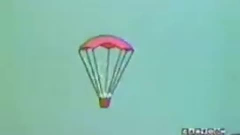 gallo claudio y cabeza de huevo