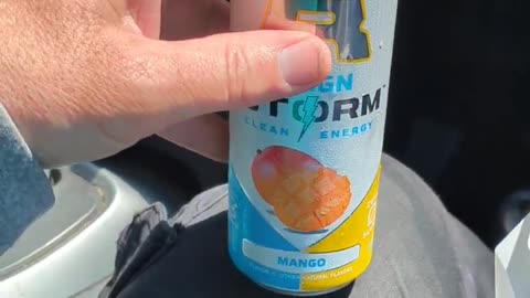 Reign Storm Mango Energy Drink Taste Test The Fast-Food Restaurant & Dessert Review Guys
