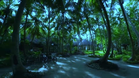 THE AMAZING MALDIVES ISLANDS #1