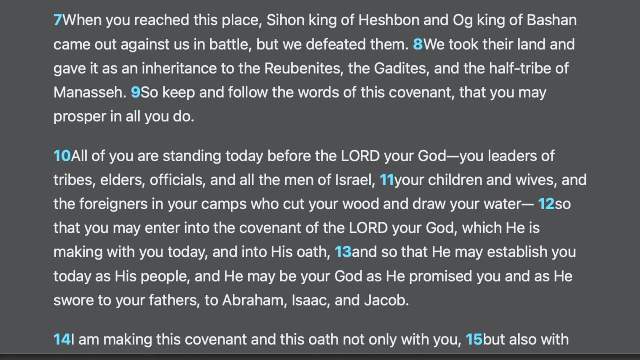 Deuteronomy 29