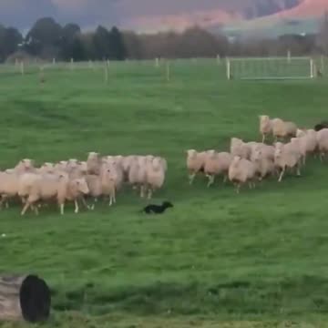 When you lied on your resume but still got the job.. 😅