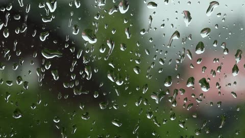 Green Radio: 24/7 Concert of Birds and Nature Sounds