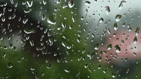 Green Radio: 24/7 Concert of Birds and Nature Sounds
