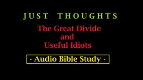 Just Thoughts - The Great Divide and Useful Idiots (2013) Retro