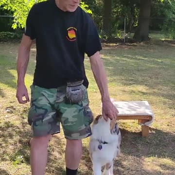 Structured Play Games Training and Practice short d