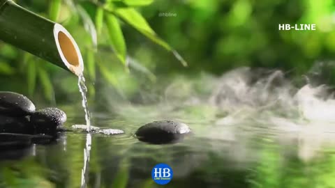 Relaxing Piano Music & Water Sounds Deep Sleep, Meditation, Stress Relief, and Study Music