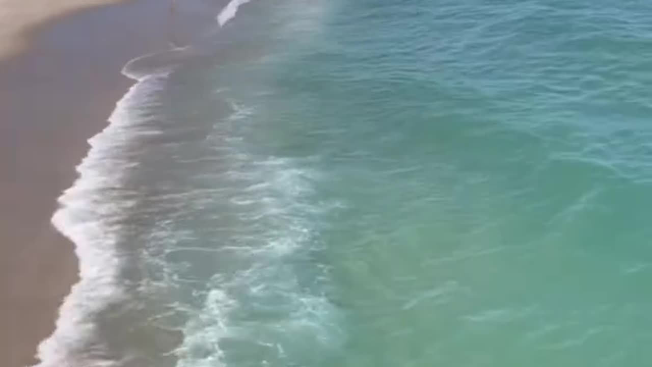 The perfect day in Pompano Beach