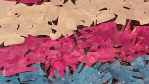 Elementary school teacher boasts about students designing a trans flag and