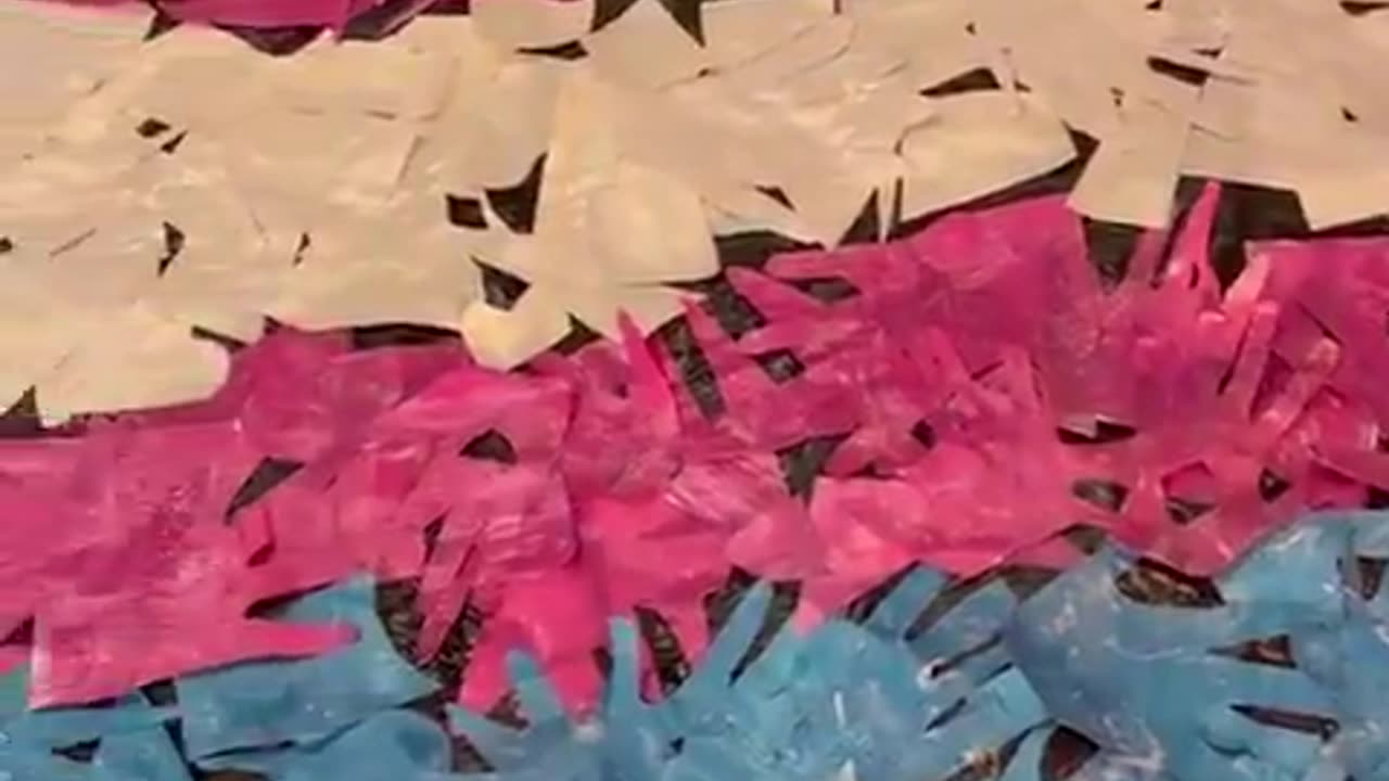 Elementary school teacher boasts about students designing a trans flag and