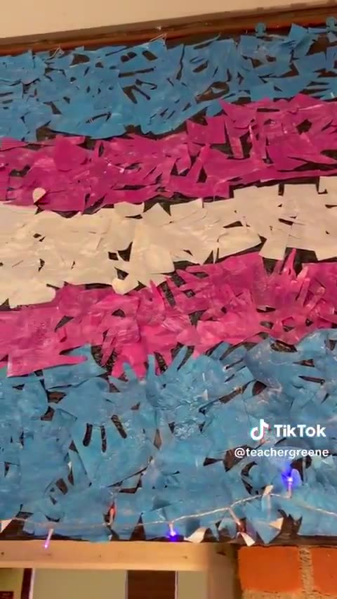 Elementary school teacher boasts about students designing a trans flag and