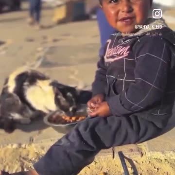 Humanity shines against Israeli barbarism