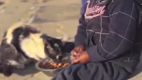 Humanity shines against Israeli barbarism